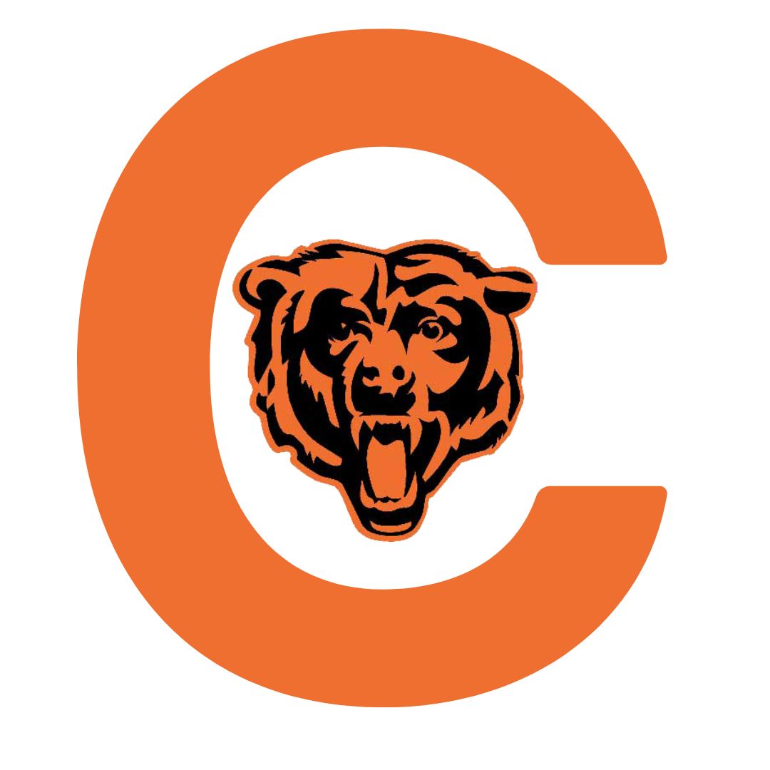 Bear Logo