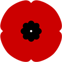 a black flower on a red background