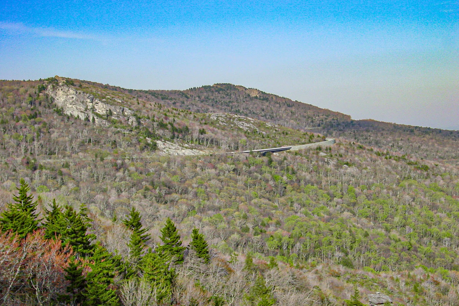 A road curves gently up barren trees high in a mountain