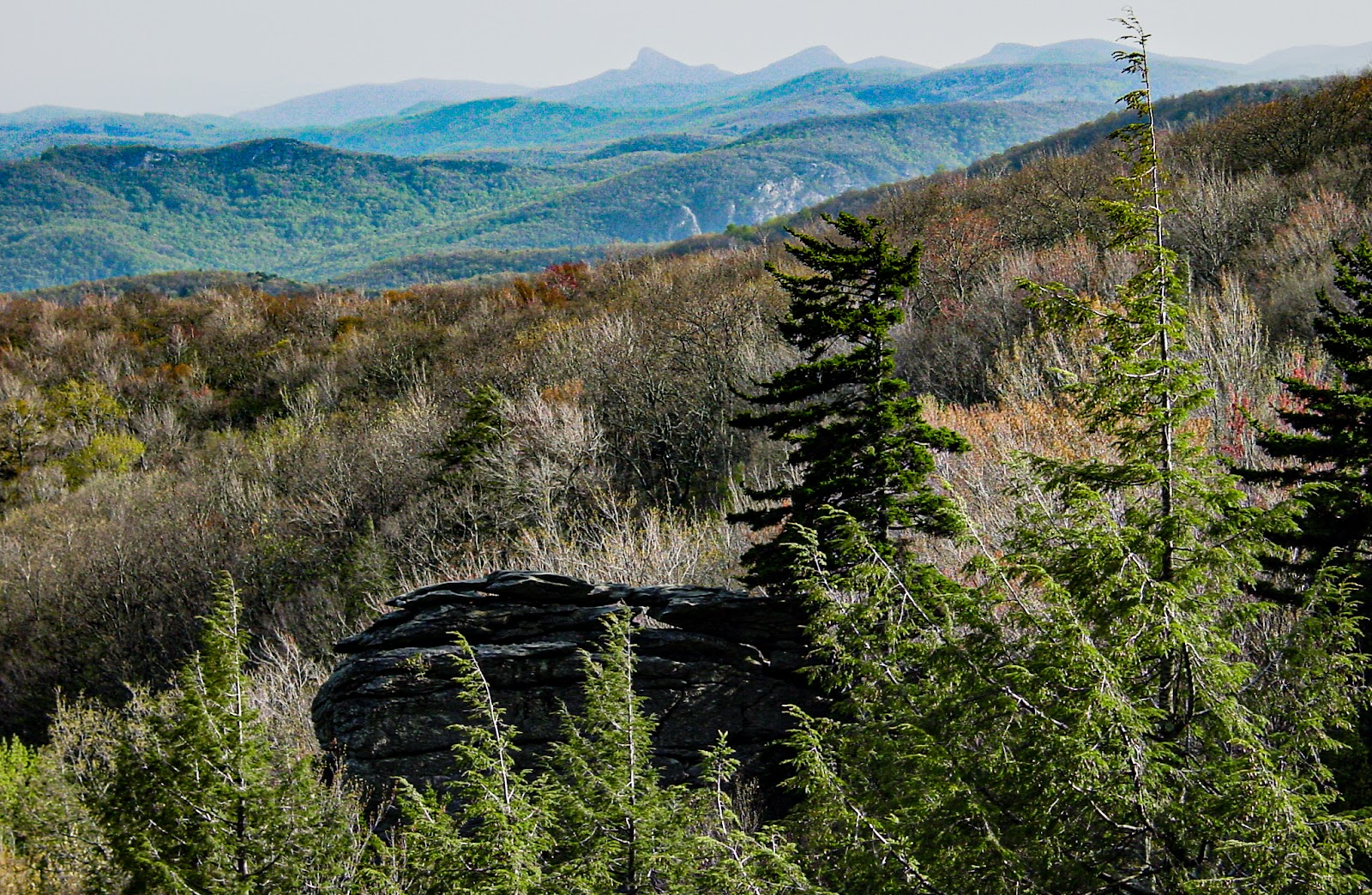 A rock in the mid-ground is shaded by a single pine tree with mountains fading into the distance. 