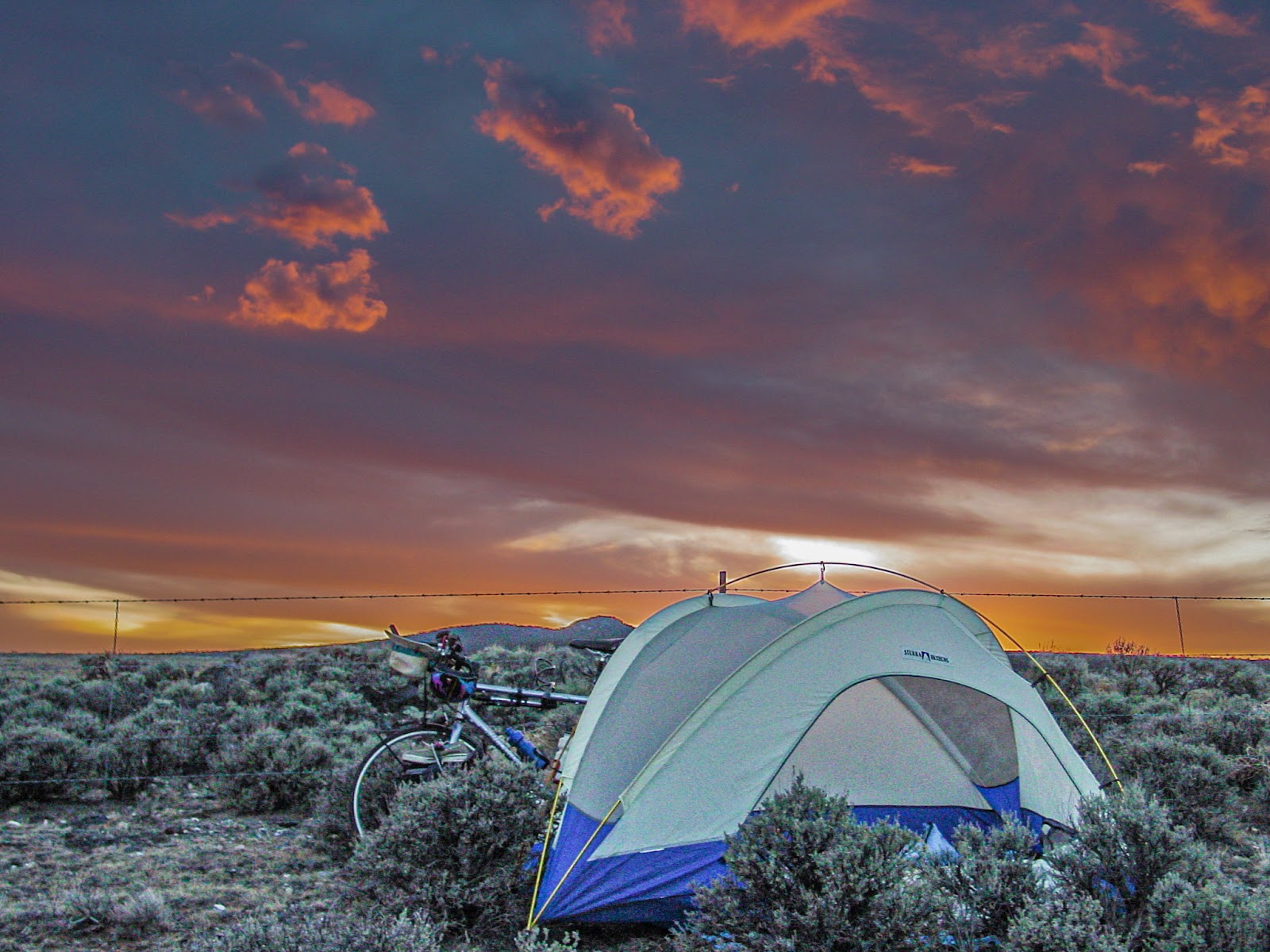 Tent and bicycle amoung desert scrubs with purple and orange skies. 