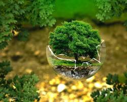 Environmental Protection