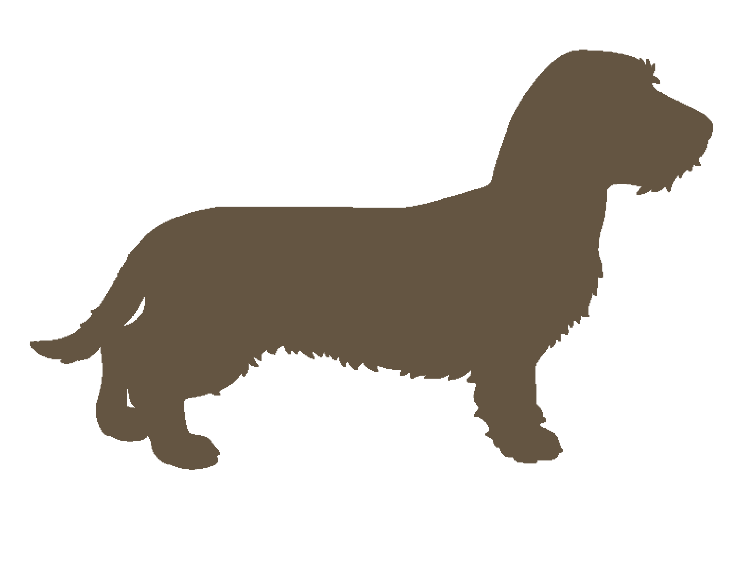 Logo-hetteckelhofje-hex-645542.png