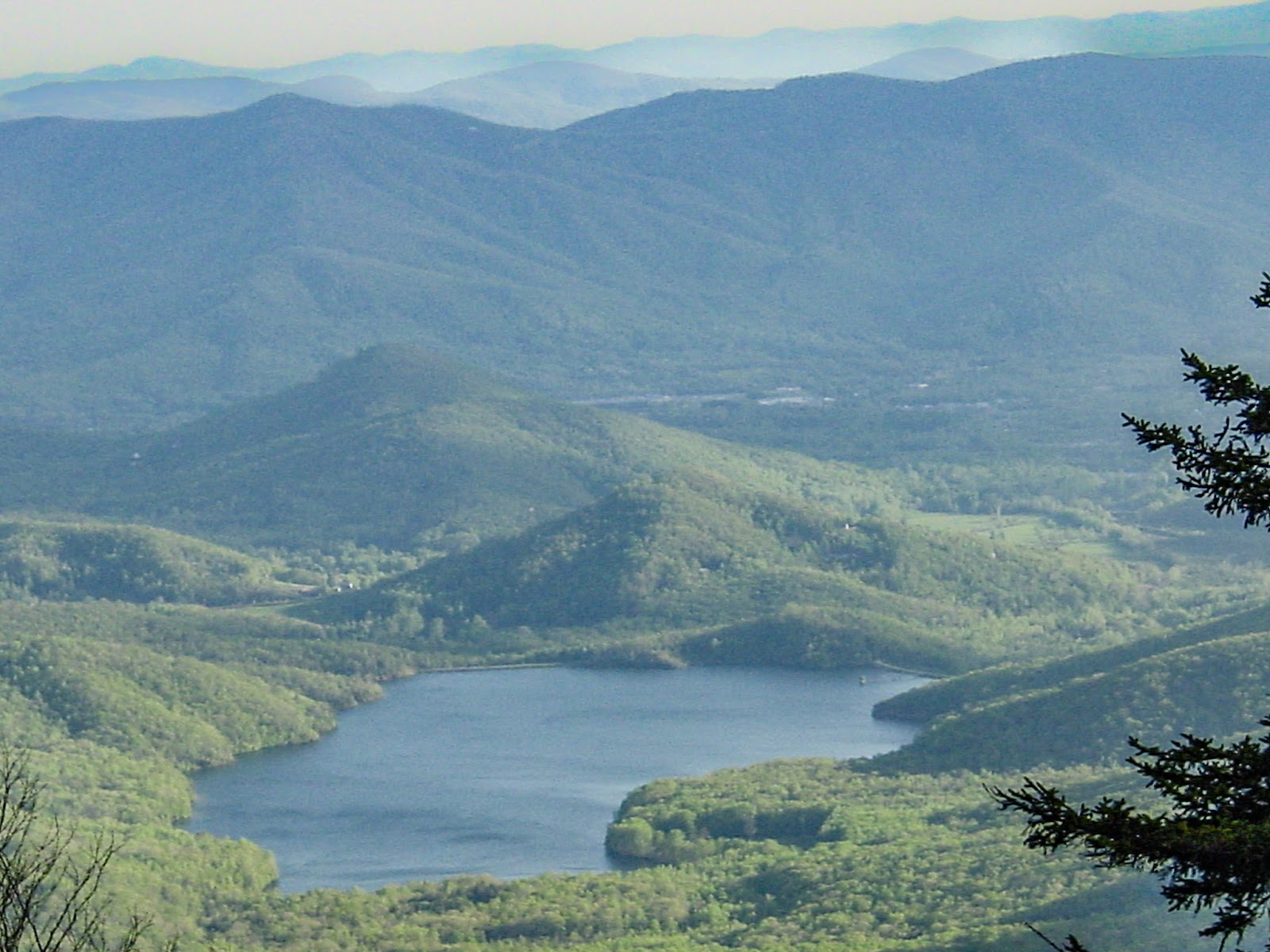 A mountain lake with green trees sloping up into distant mountains. A pine tree is on the right. 
