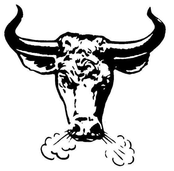 Packer Bull