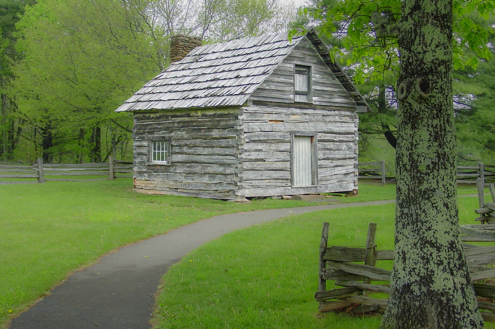 A log cabin with an asphalt walkway leading to the door. 