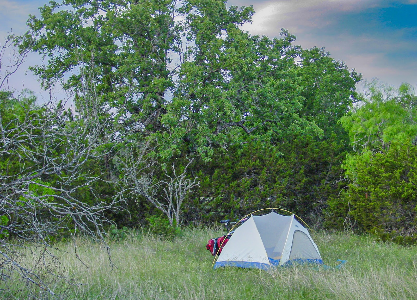A blue and yellow tent in front of a bicycle in an clearing surrounded by heavy foliage. 
