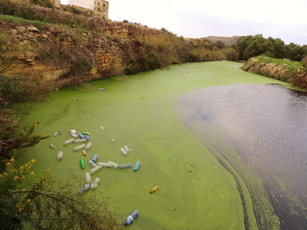 Water_pollution_Victoria1.jpg