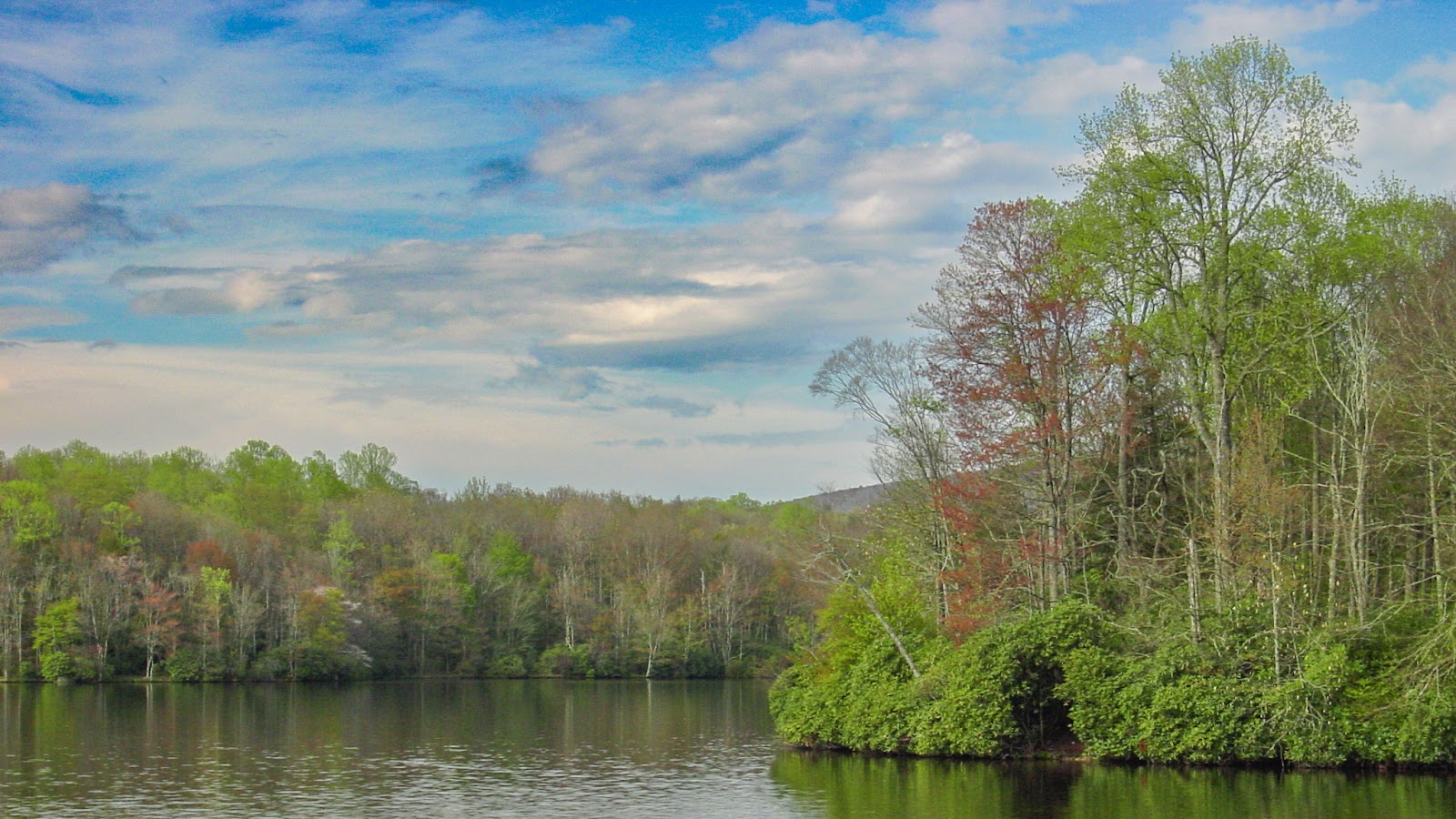 Water in foreground, a lakeshore of trees and blue cloudy sky. 