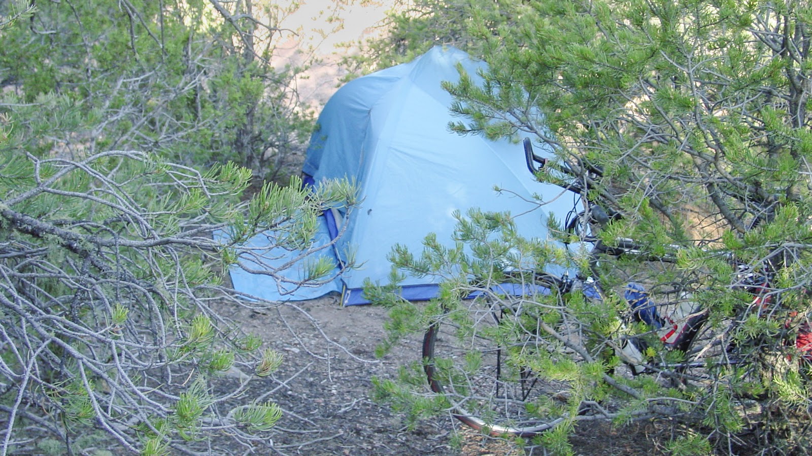 Bike and tent among desert shrubs