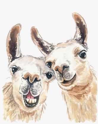 Image result for alpaca drawing