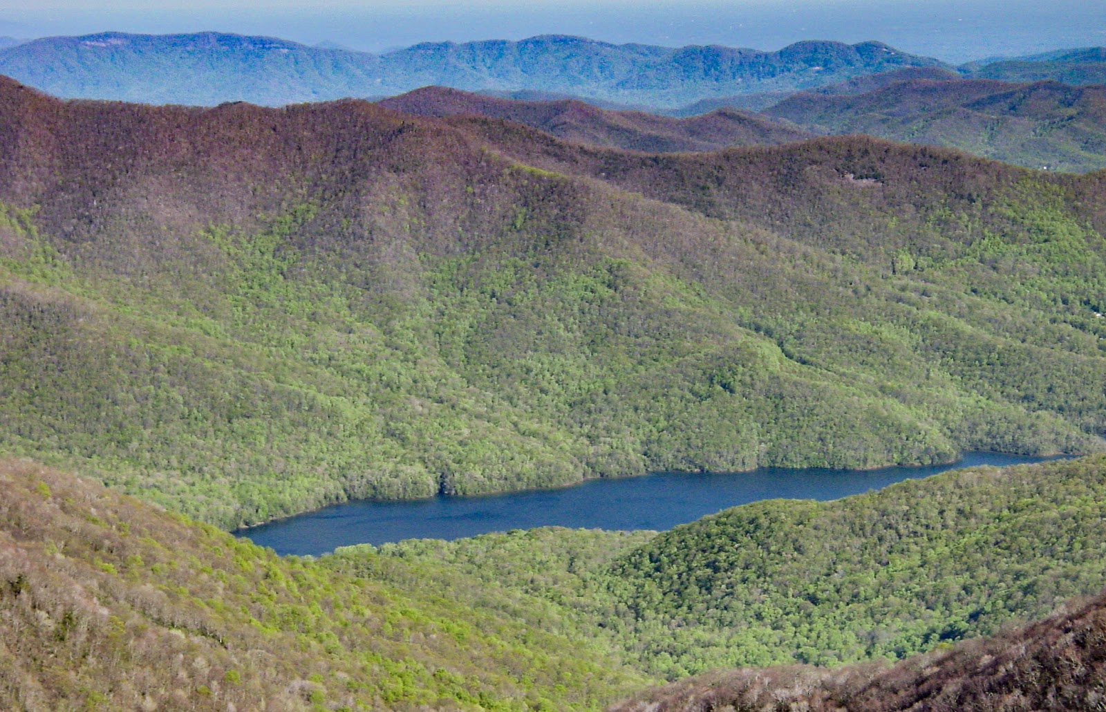 A mountain lake in a green valley. 