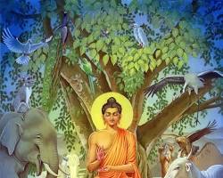 Buddha meditating under a tree