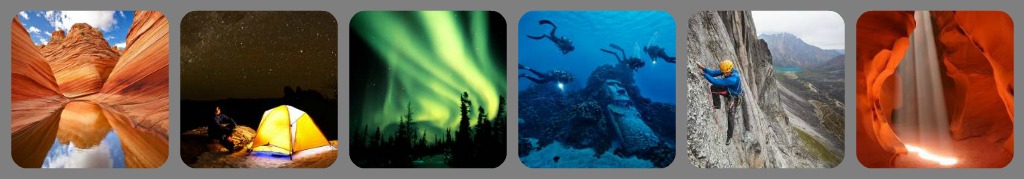 Ribbet collage.jpg