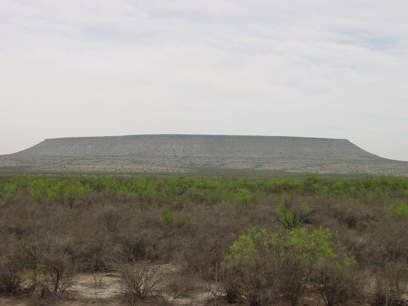 A distant desert mesa with pale cloudy sky