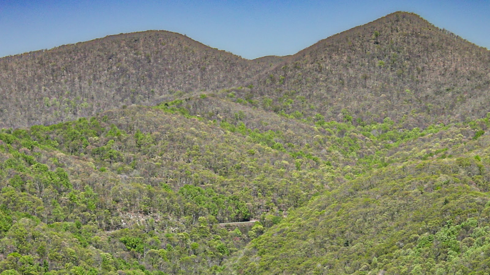 Bare trees top two mountain peaks with a road curving in the mid-ground. 