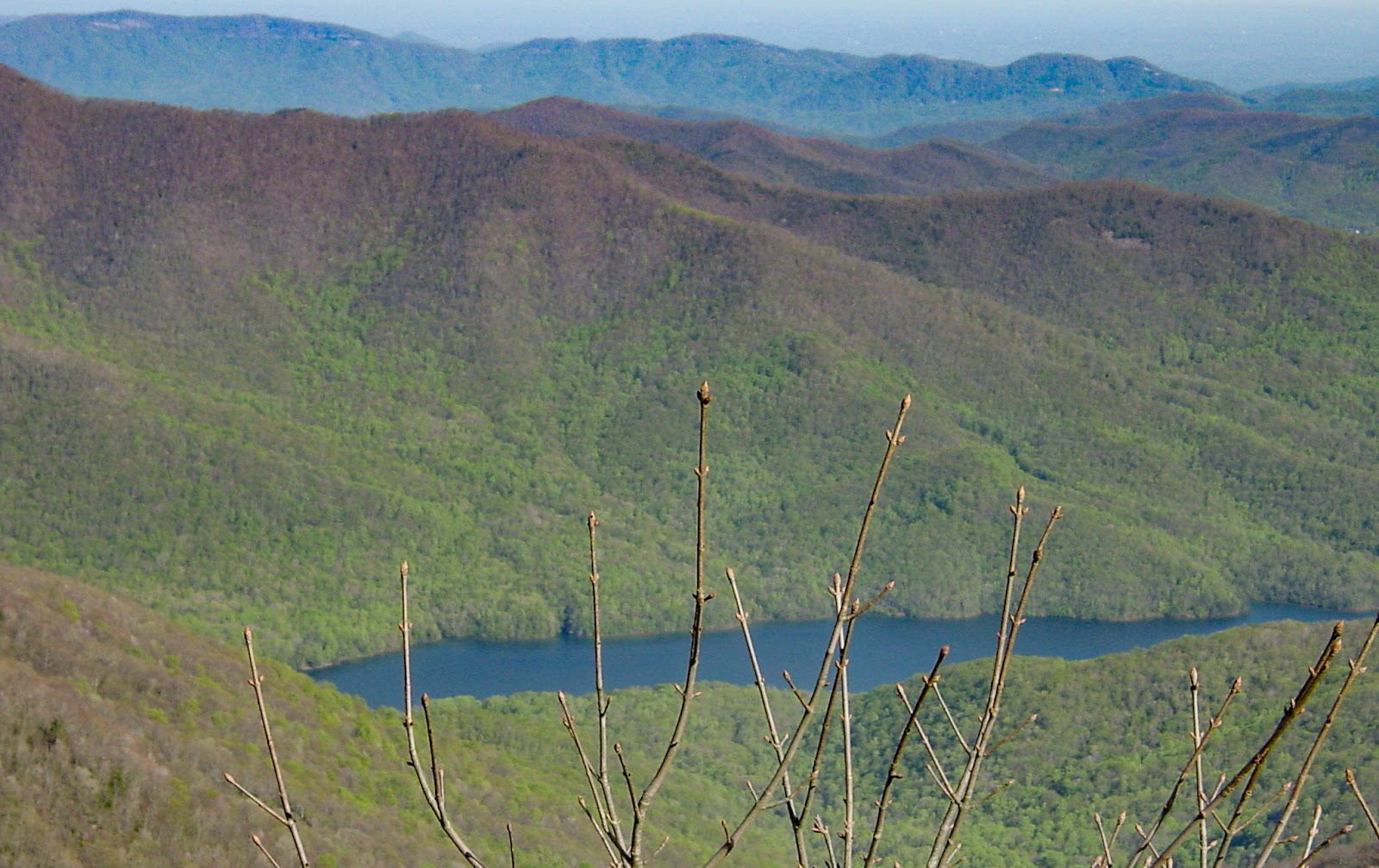 A mountain lake in a green valley with barren tree limbs in the foreground. 