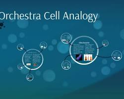 Orchestra Analogy