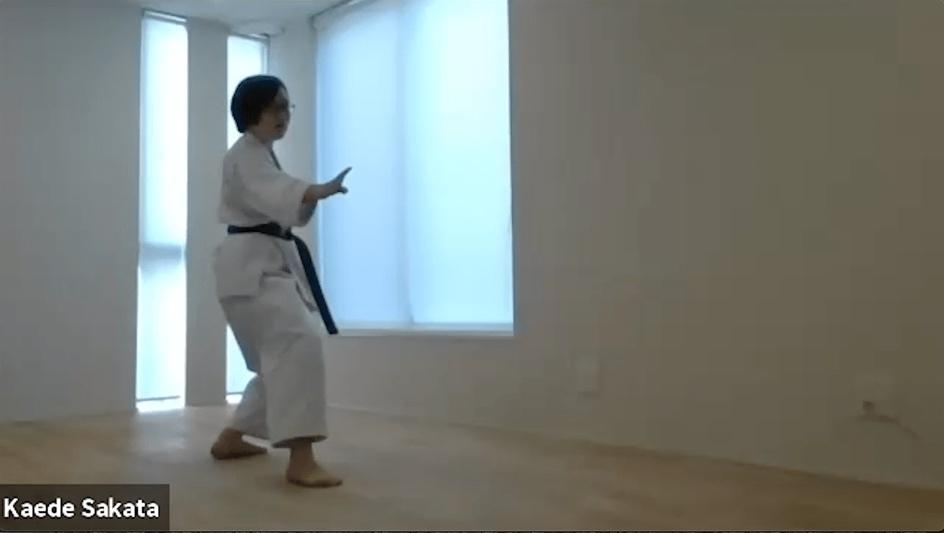 Knife hand block before spear hand thrust in online Dan Exam