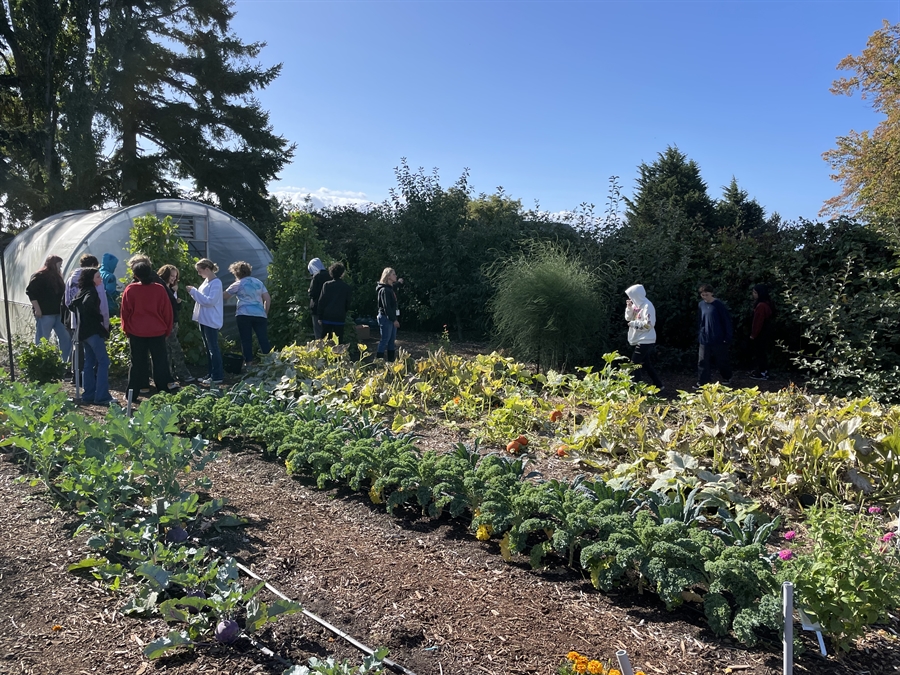 students learning at PTHS Garden