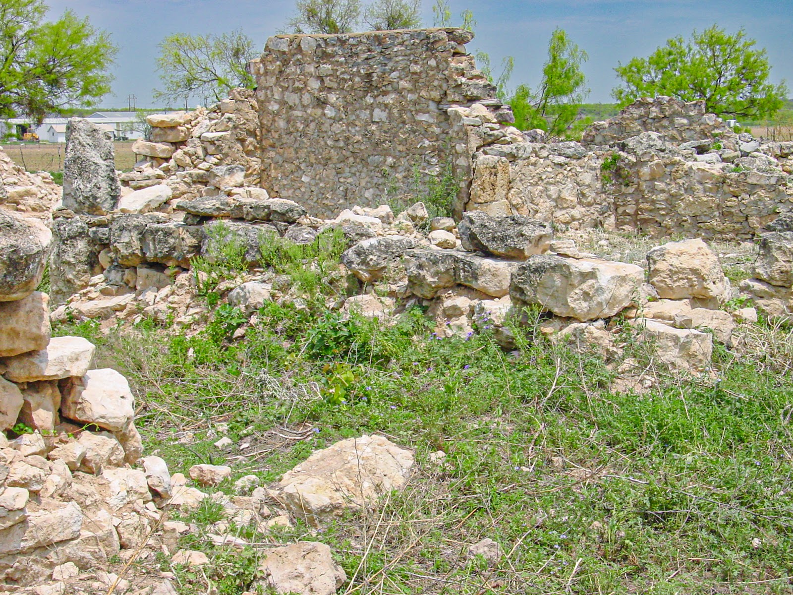 The ruins of an old fieldstone wall and many scattered rocks and high weeds.