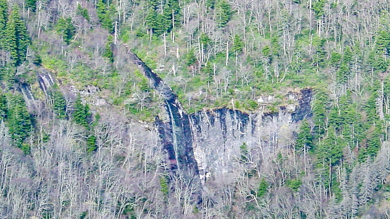 A rocky area visible through the barren trees. 
