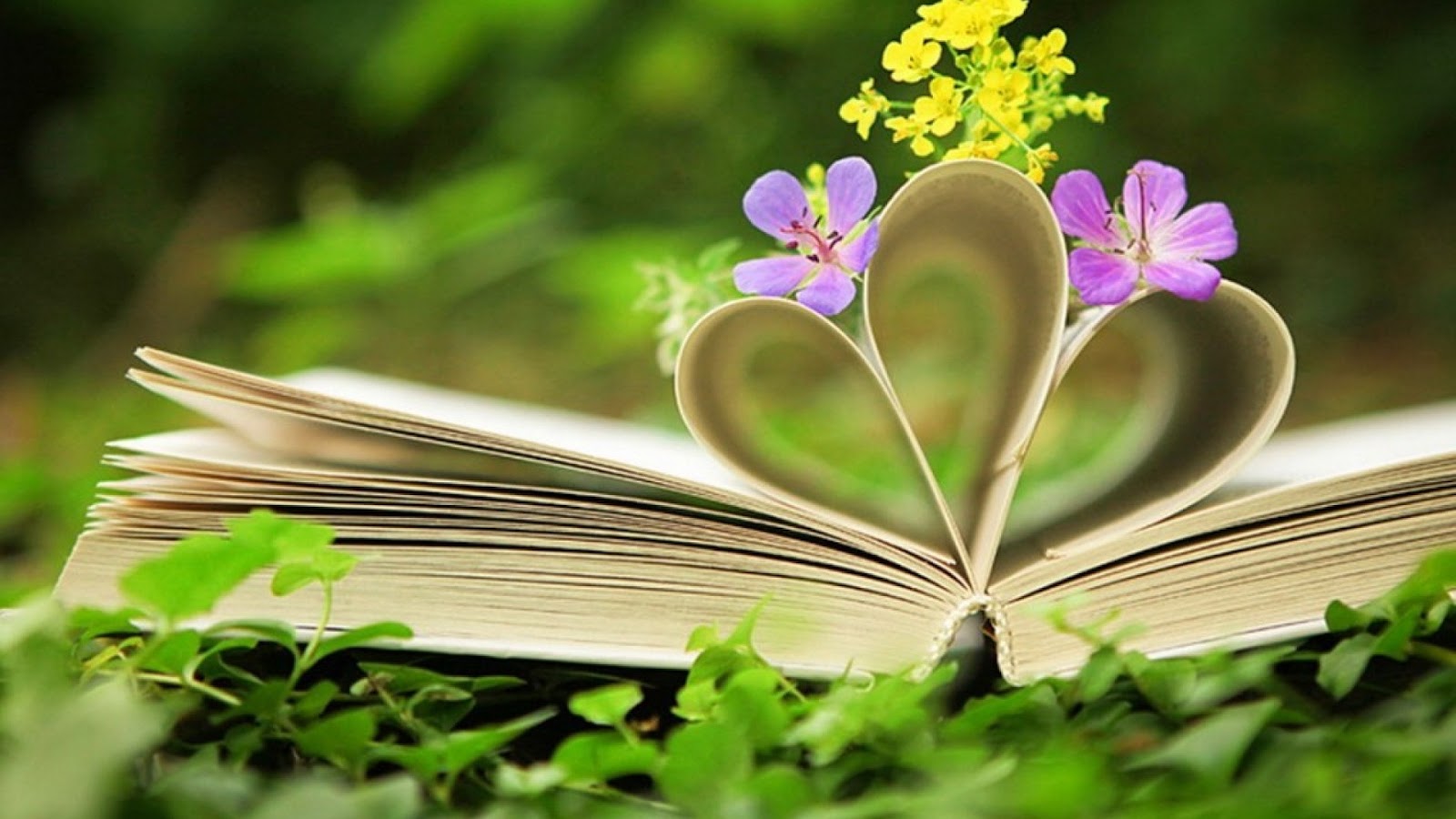 book with flowers.jpg
