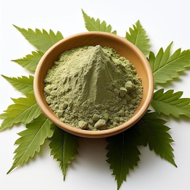 This highquality image showcases organic neem powder and fresh neem leaves both dried and fresh i