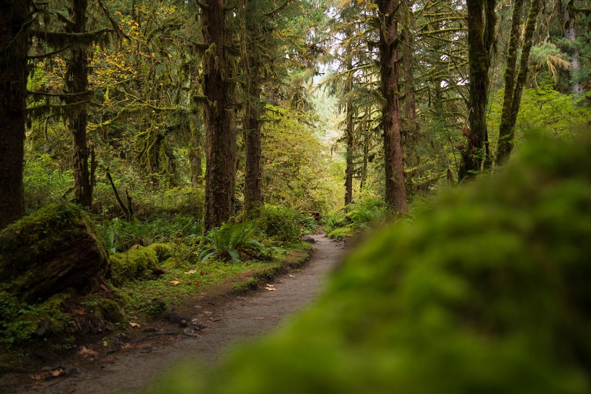 Oloolua Nature Trail