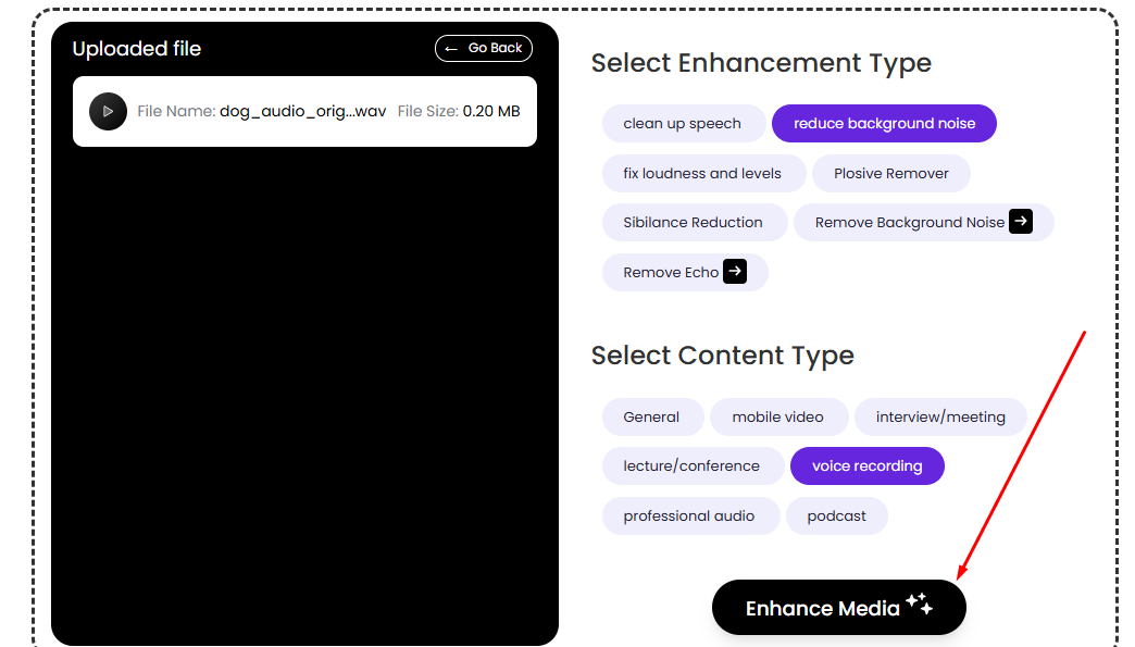 AI Voice Enhancer