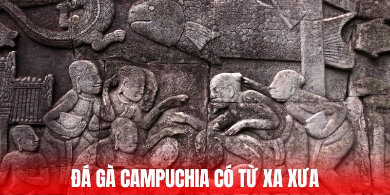 Đá gà Campuchia có từ xa xưa