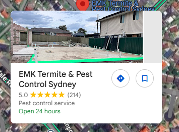 Why Termite Treatment Sydney Is a Must for Owners