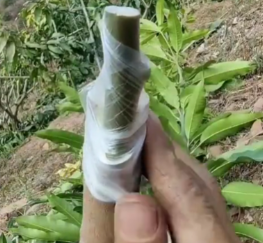 Buộc mối ghép.olm