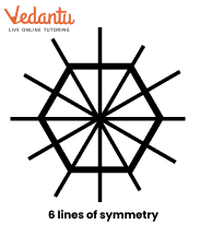 draw lines of symmetry