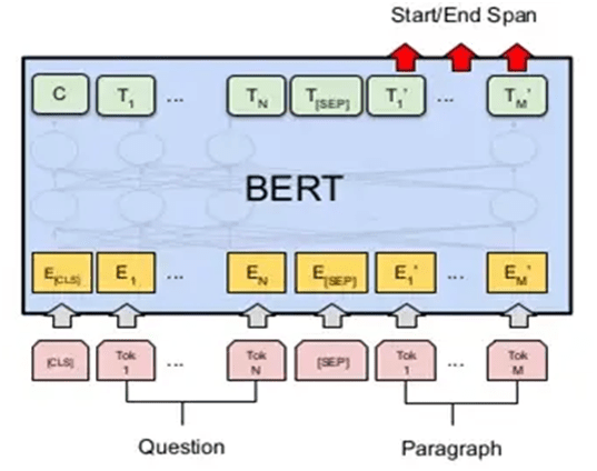 Why BERT?