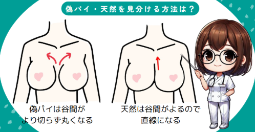 本物と作り物の巨乳の見分け方