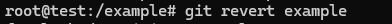 Advanced Git Commands