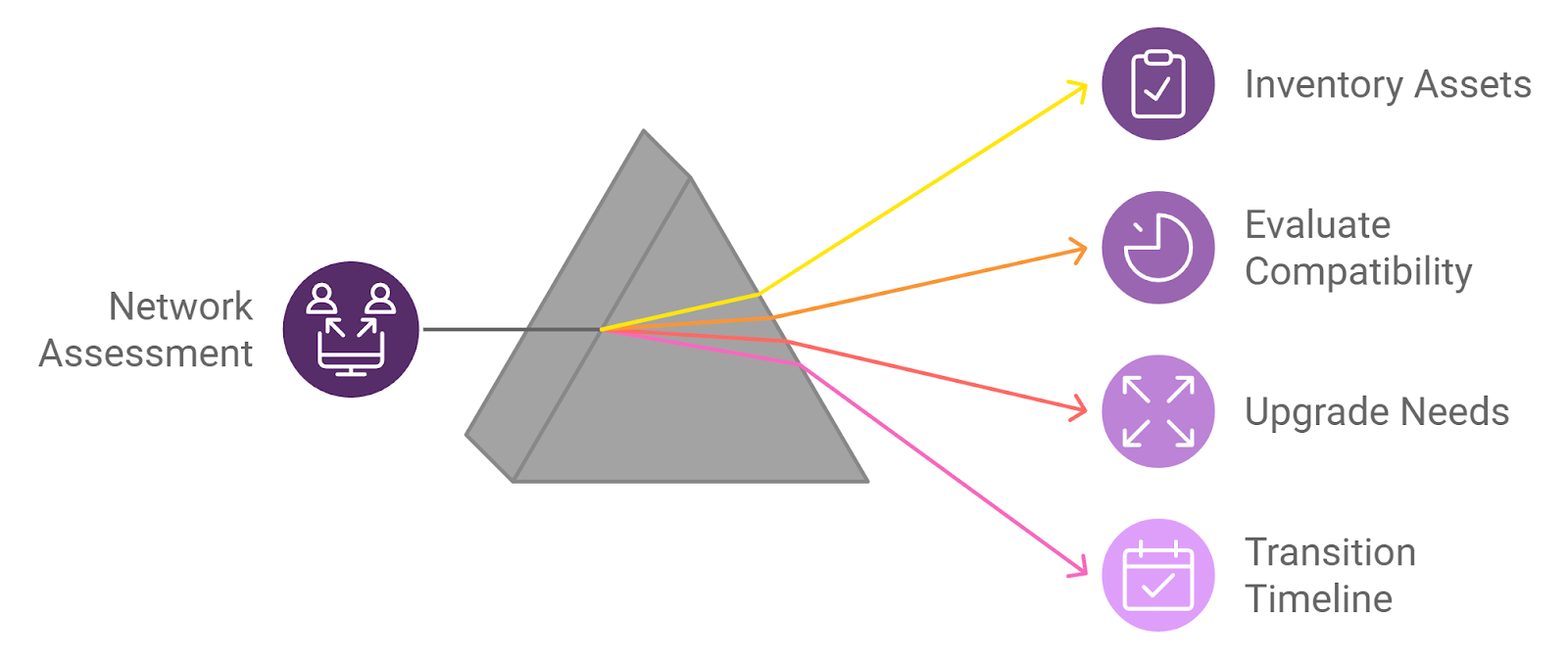 network assessment graph