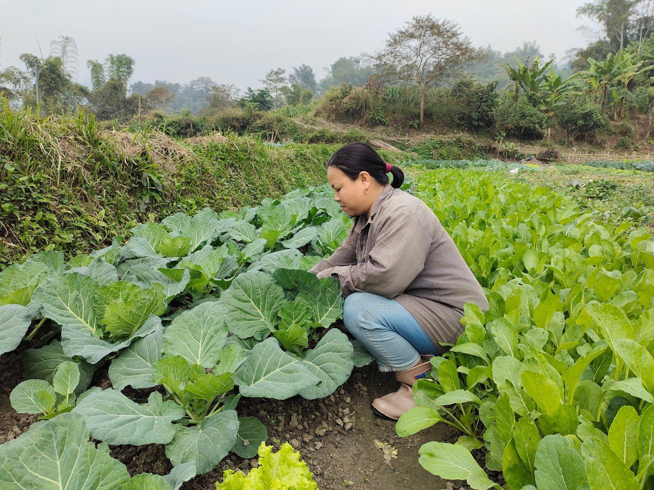 Lưu ý giúp doanh nghiệp nâng cao hiệu quả kinh doanh và giữ vững chất lượng sản phẩm