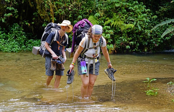 Explore the Wild with These Adventure Expeditions