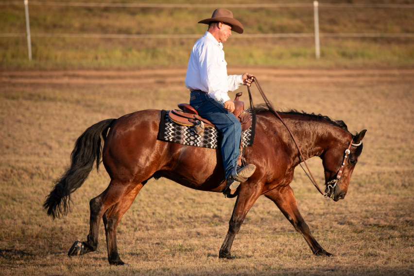 Western Cowboy Reining Horse Scootboot Hoof Boots over Horseshoe Sliding Plates Sliders Cantering Bay horse