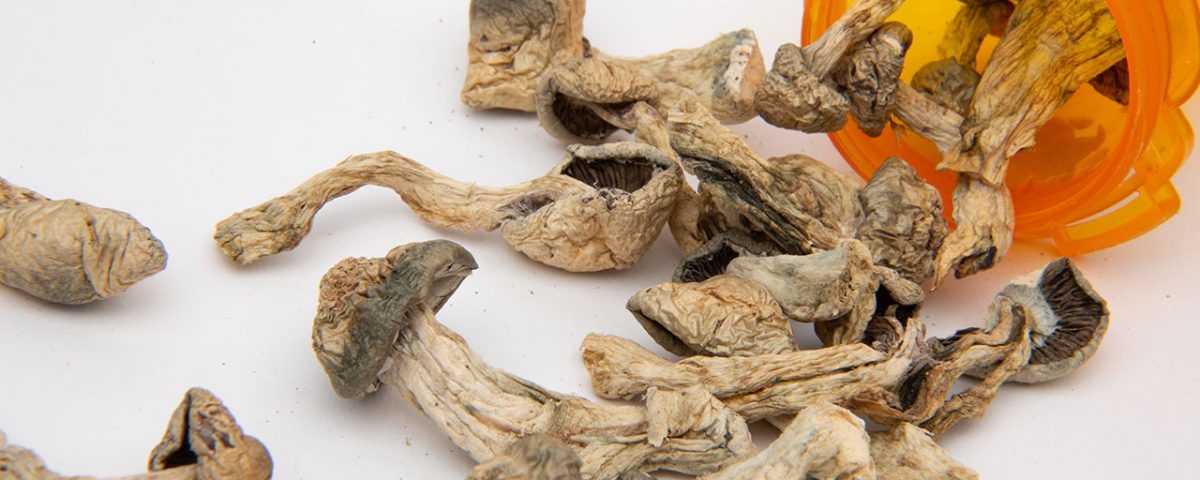 Can You Overdose On Shrooms? | Banyan Treatment Texas