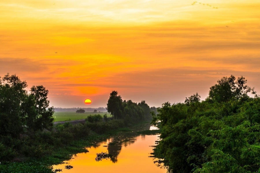 Admire the poetic beauty of Tra Su Cajuput Forest under the sunset. Source: Focus Asia Travel