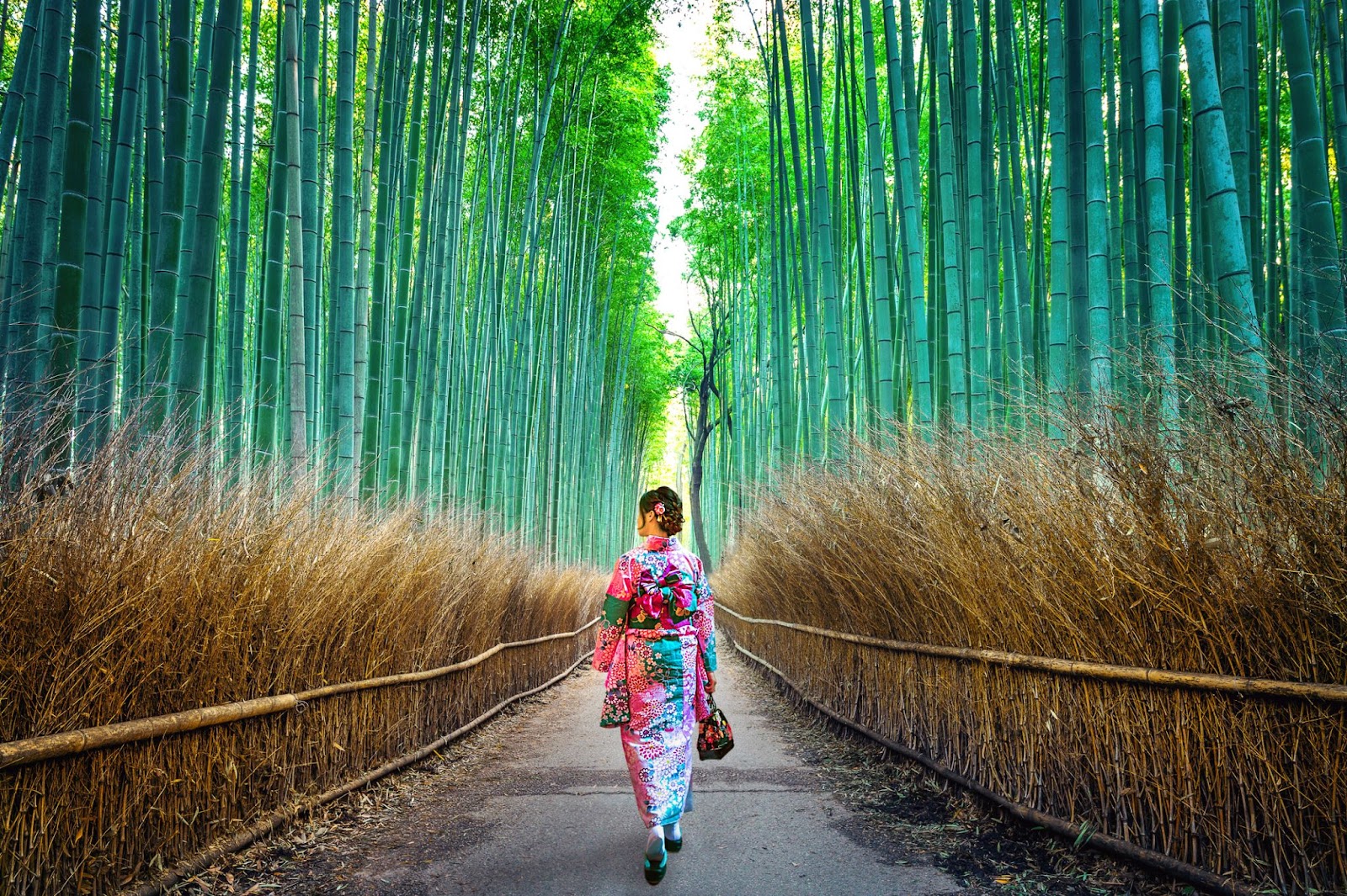 Arashiyama Bamboo