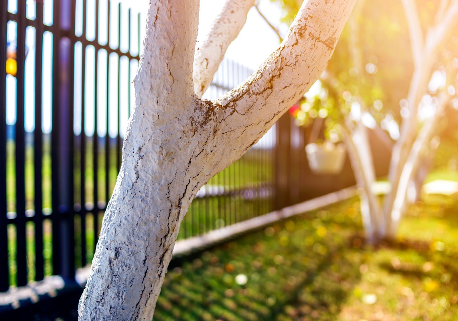  Aluminum fencing next to trees. 