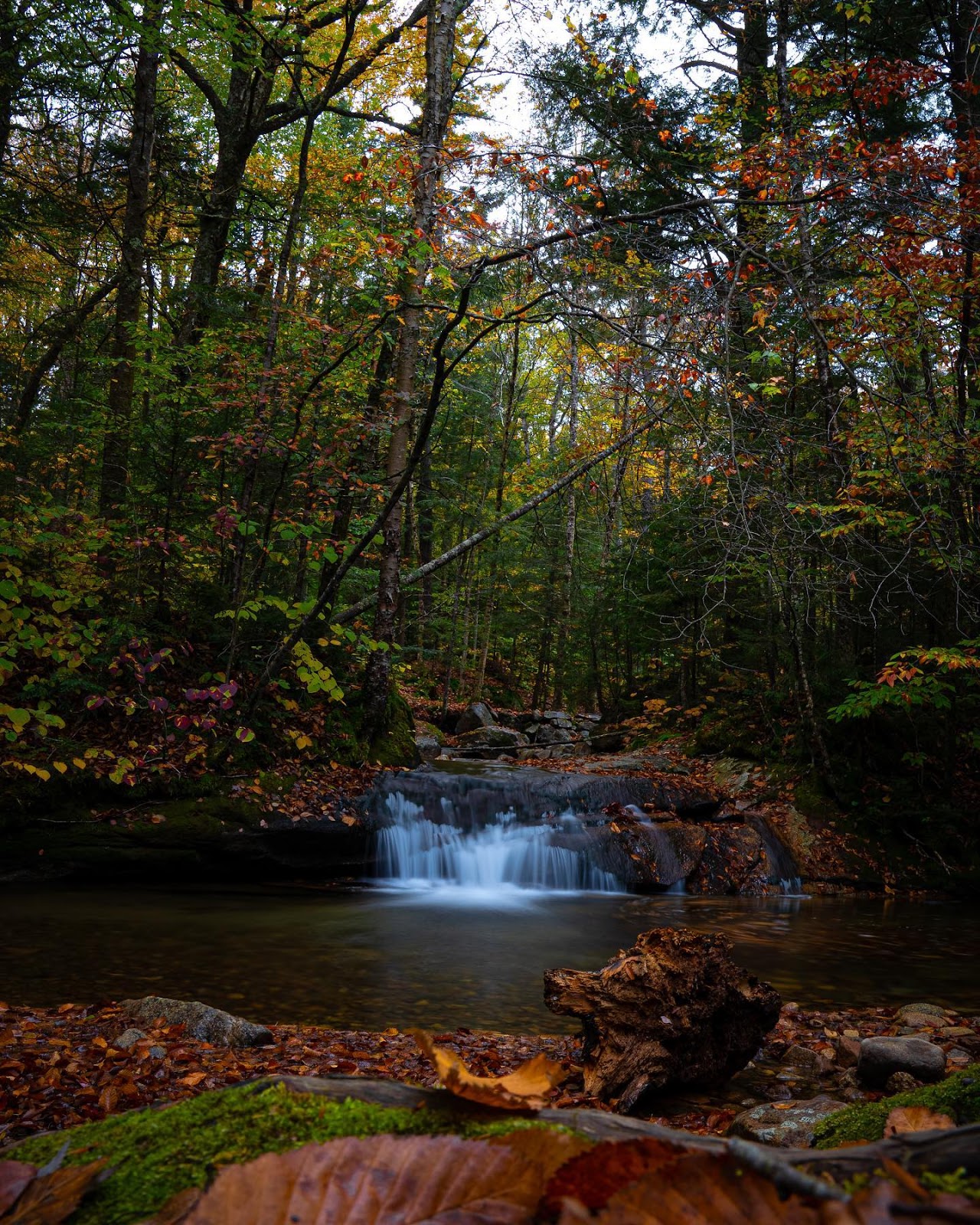 Franconia Notch State Park