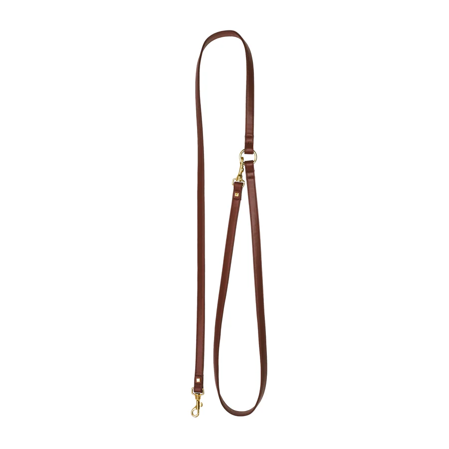 brown leather leash