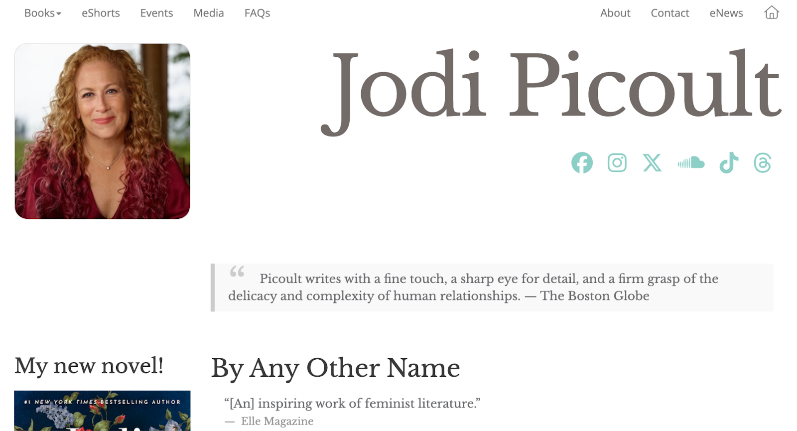 image of Jodi picoult website