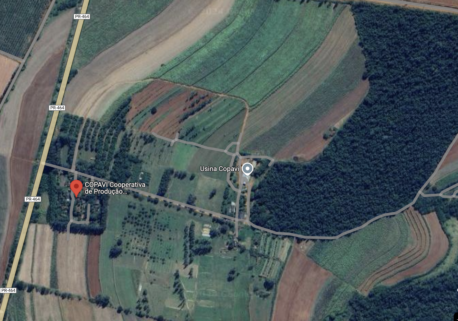 Imagem área atual de satélite feita pelo Google mostra uma extensa cobertura de mata e outras áreas arborizadas e com cobertura vegetal em meio aos cultivos 