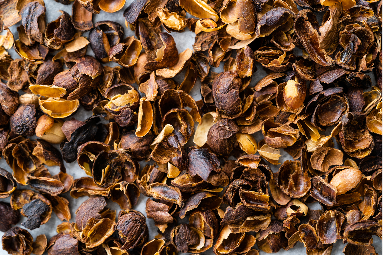 cascara 